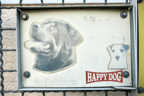 The Lucky Paws Animal Advocates logo displayed on a welcoming sign outside the shelter.