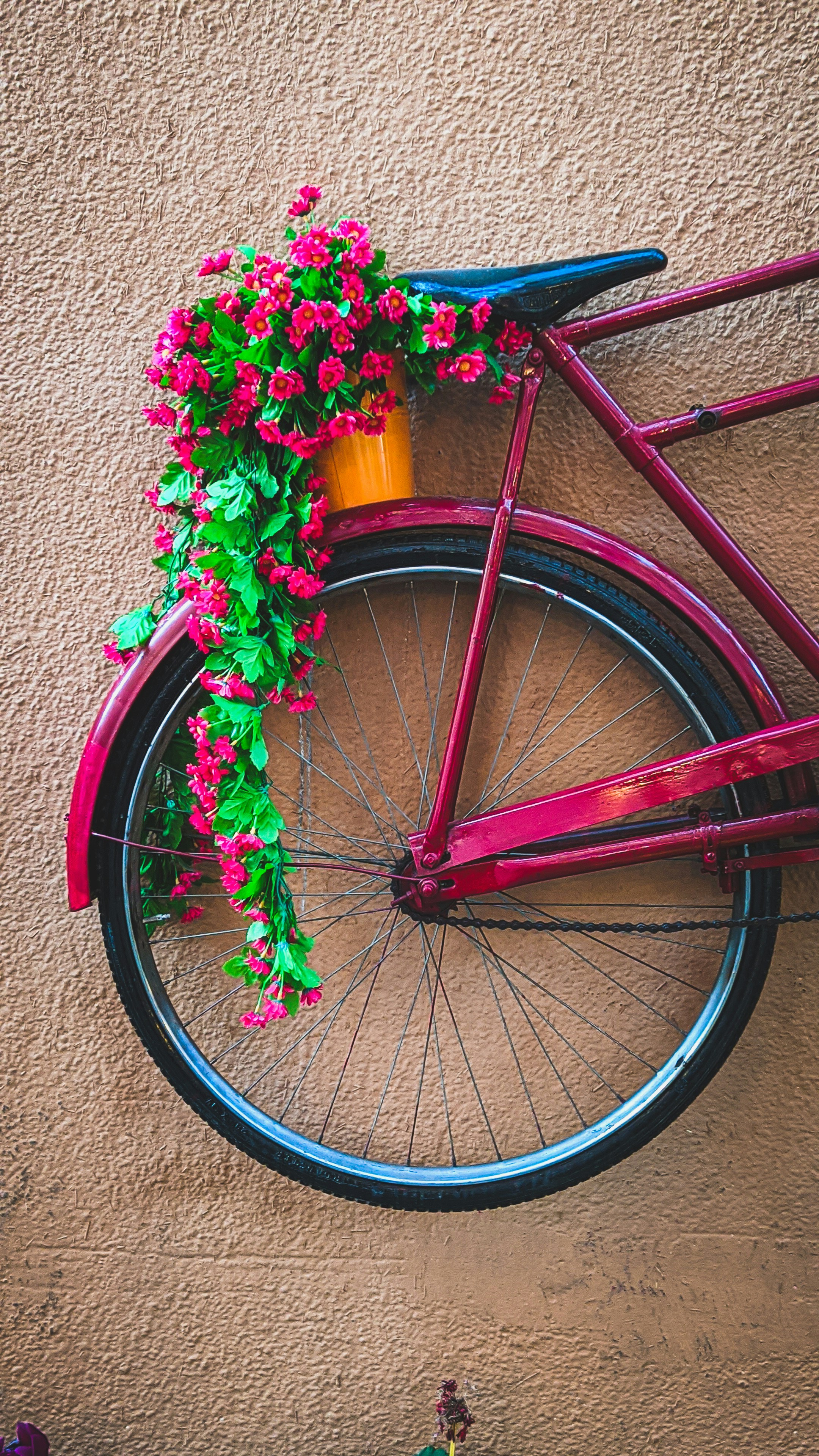 紫色の花を持つ紫色の自転車の車輪の写真 Unsplashの無料交通手段写真