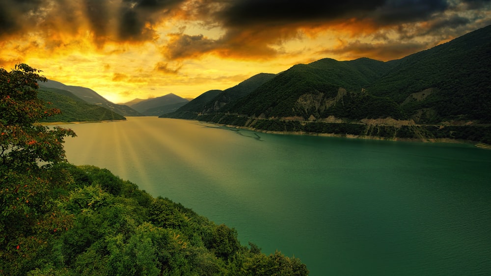 green trees near lake under cloudy sky during daytime