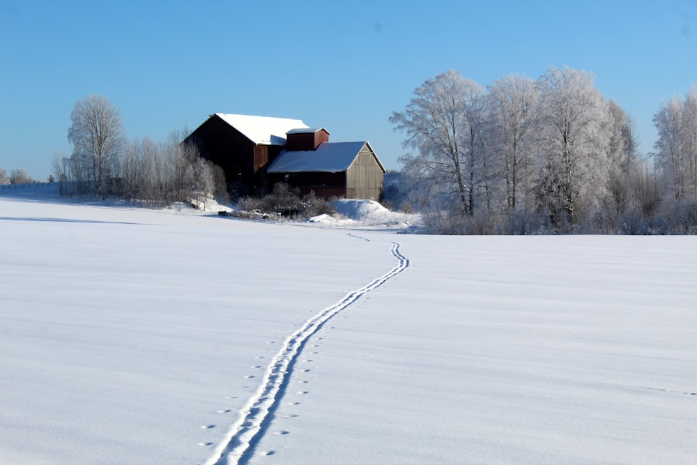 Casa de madera marrón en suelo cubierto de nieve durante el día