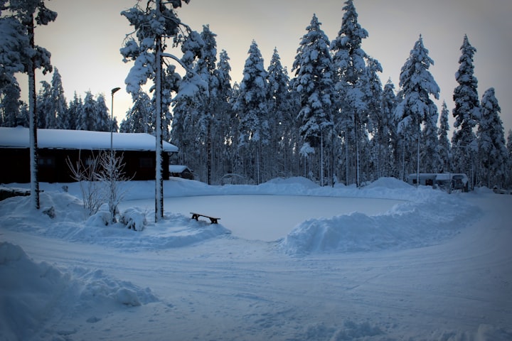 On Frozen Pond