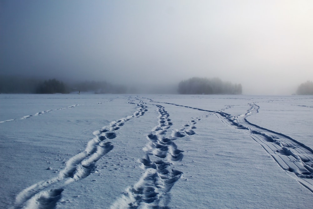 snow covered field during daytime