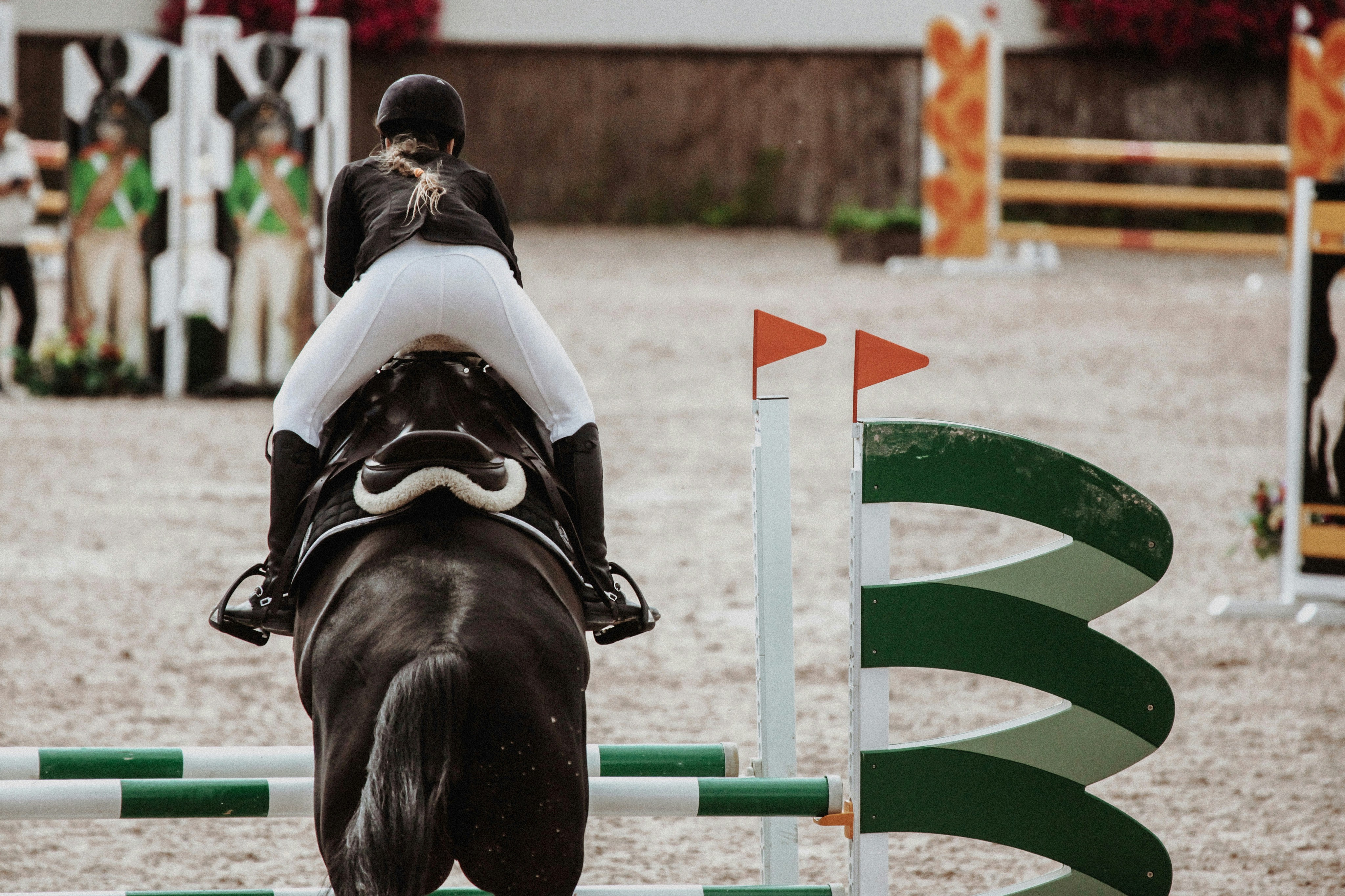 Premium Horse Tack Reviews Online