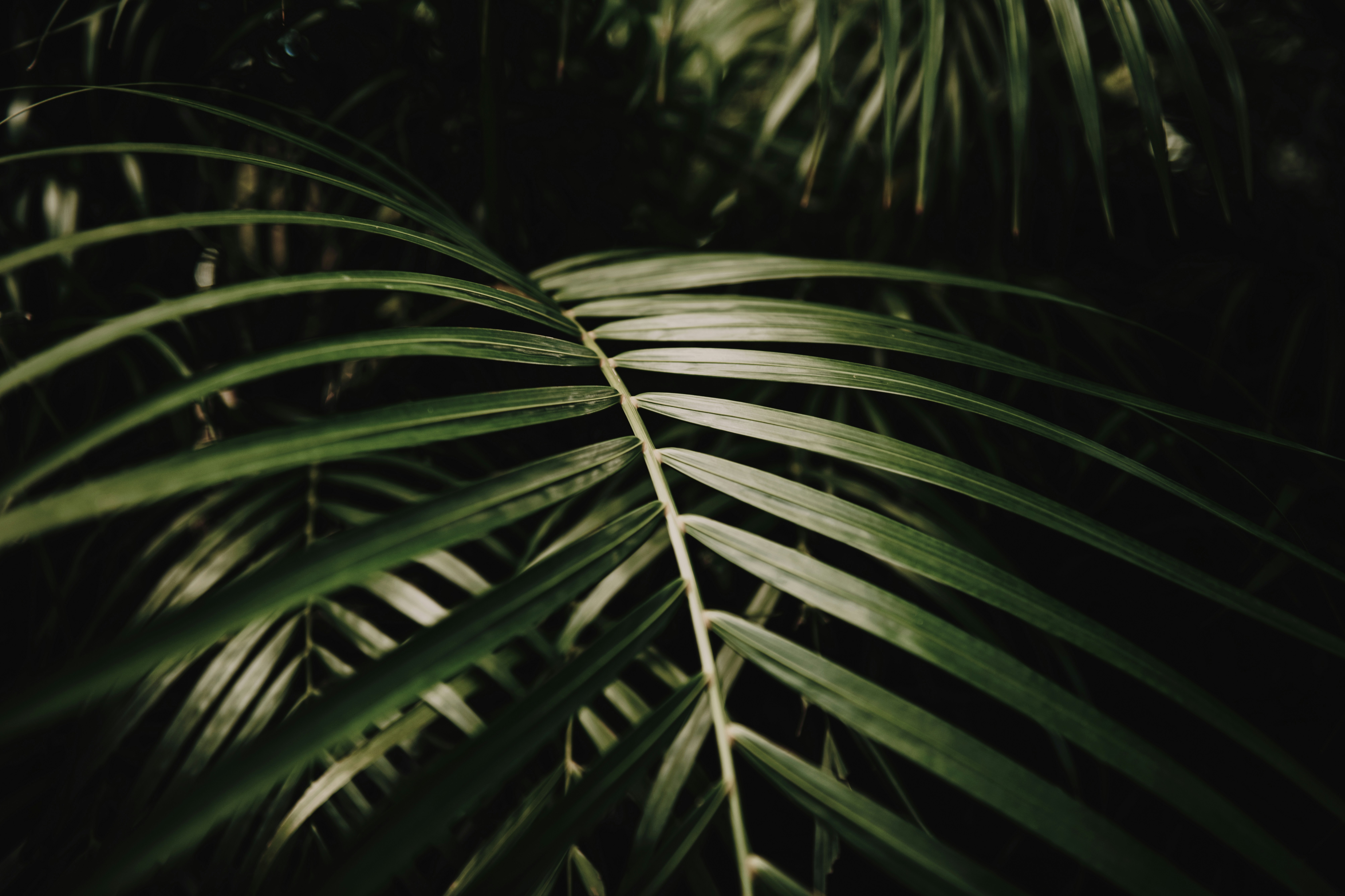 Photo by timmossholder