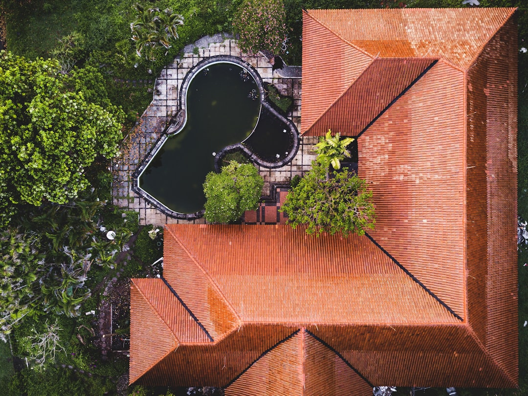 aerial view of green trees and brown brick wall
