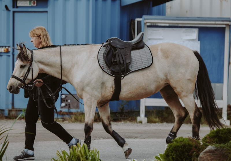 Dressage Saddle Pad — Memory Foam 3