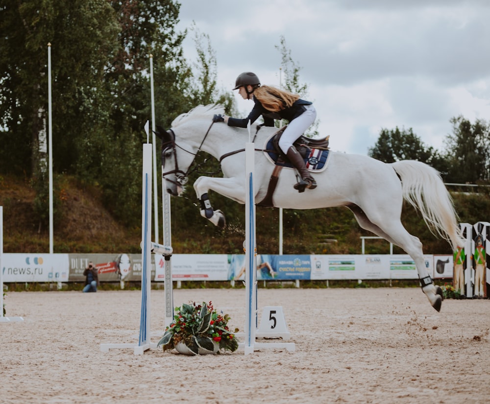 uomo che cavalca il cavallo bianco durante il giorno