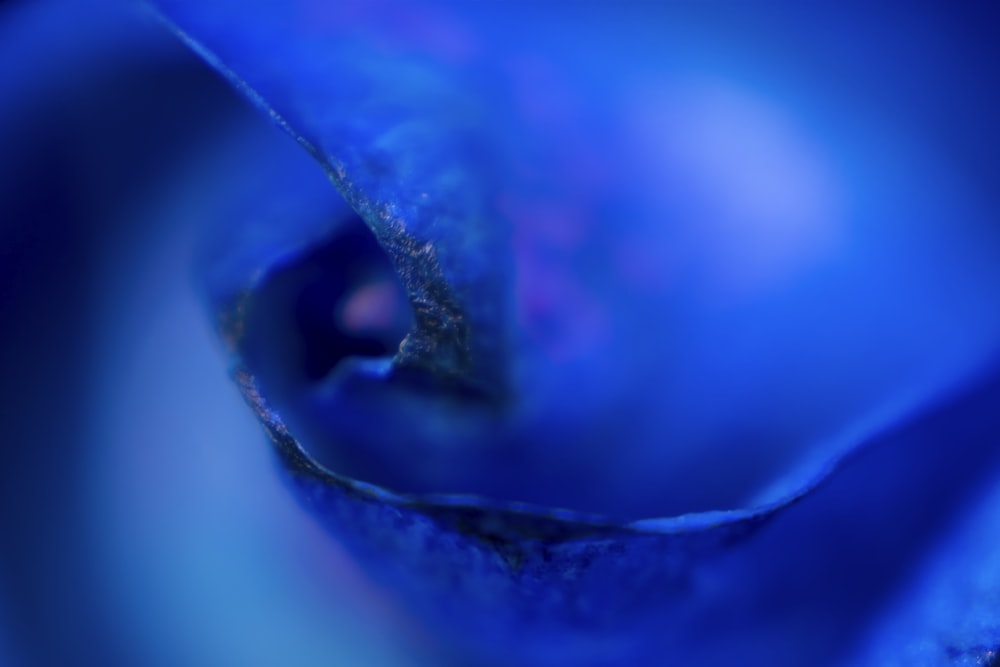 blue and white water drop