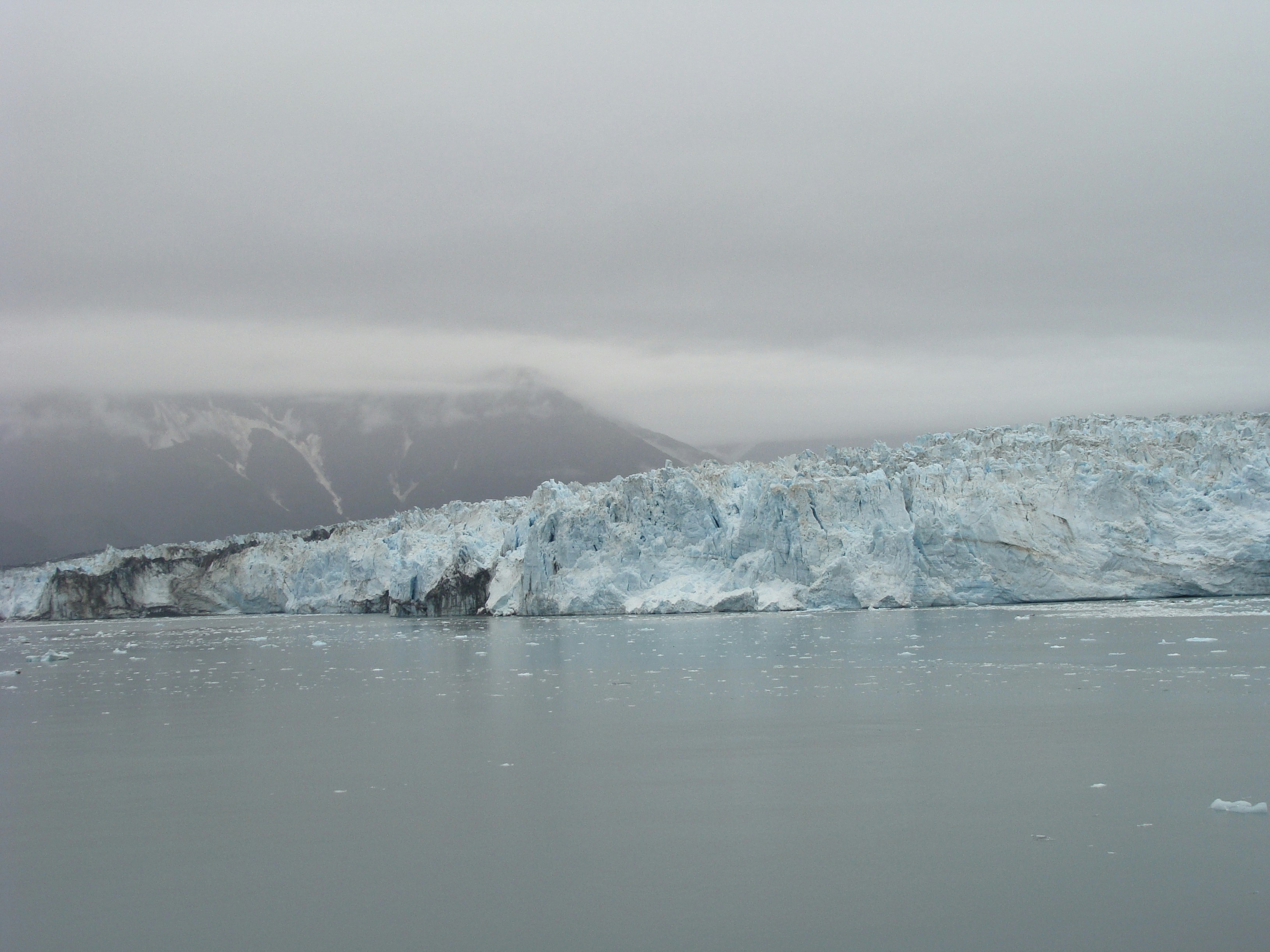 Photo by debrafingold