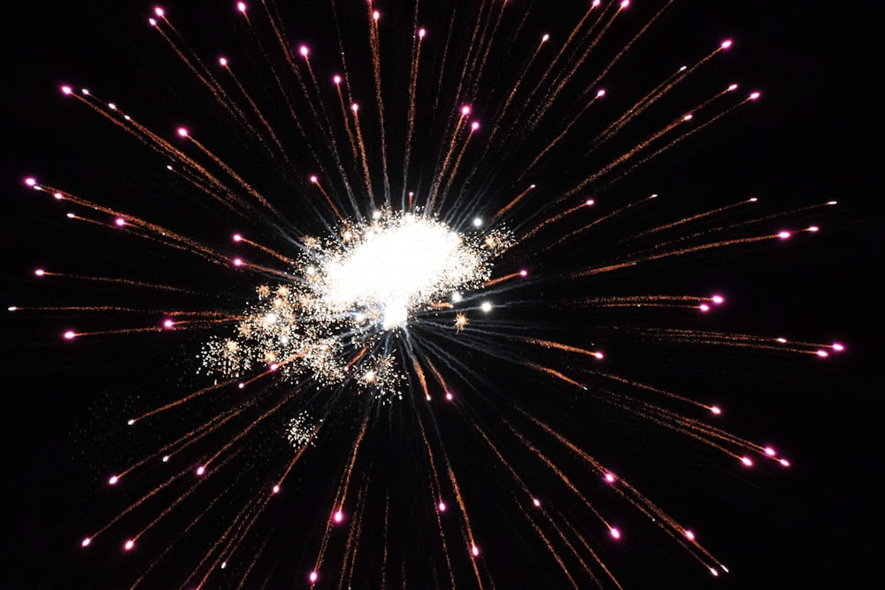 white and blue fireworks display during nighttime