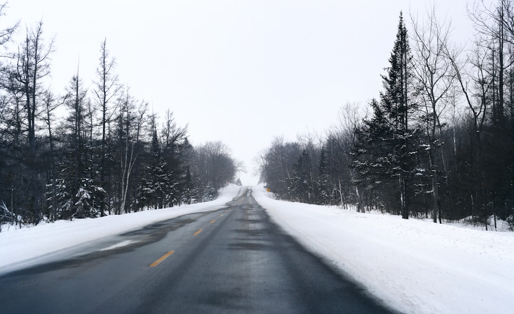 a snowy road with trees on both sides