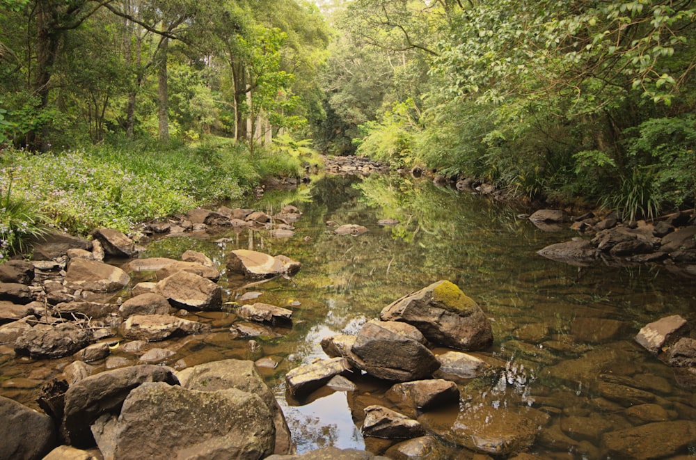 rocce marroni sul fiume durante il giorno