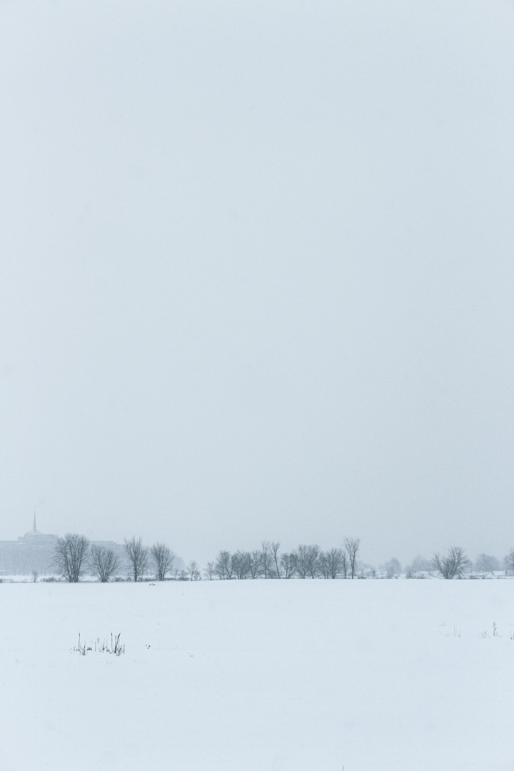 snow covered field during daytime