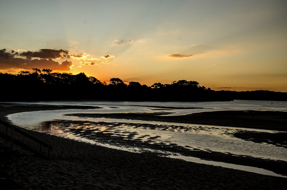 silhouette di alberi sulla spiaggia durante il tramonto