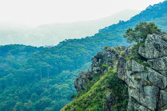 green trees on mountain during daytime