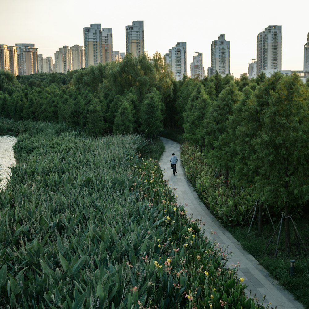 green grass field near city buildings during daytime