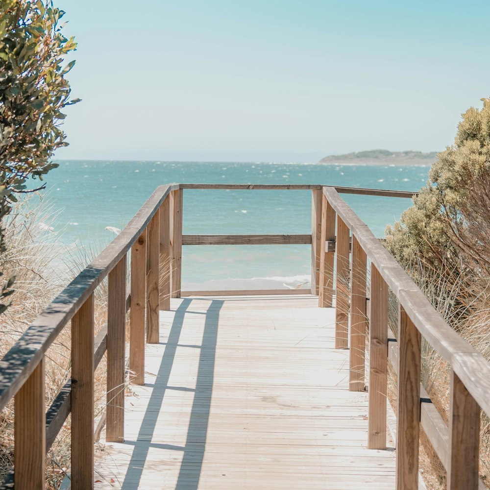 brown wooden dock near body of water during daytime