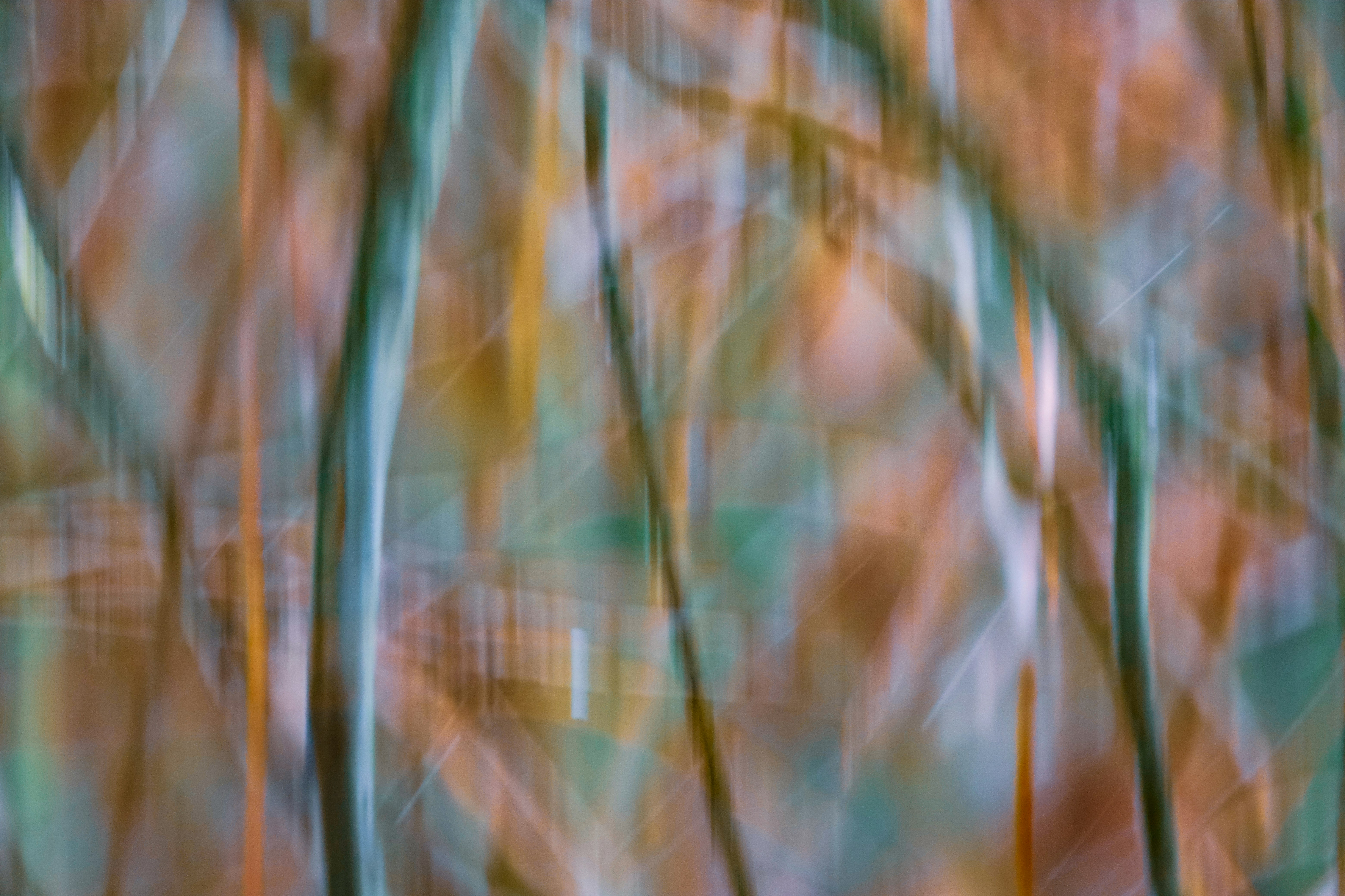 Photo by grievek1610begur