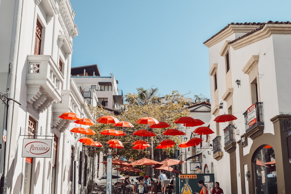 people walking on street with umbrella during daytime