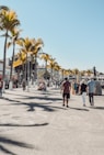 people walking on gray concrete road during daytime