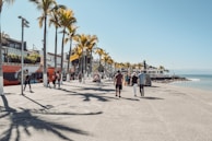 people walking on gray concrete road during daytime