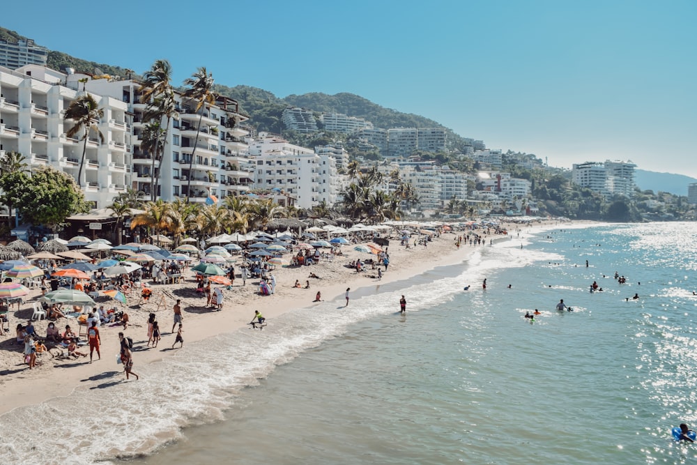 people on beach during daytime