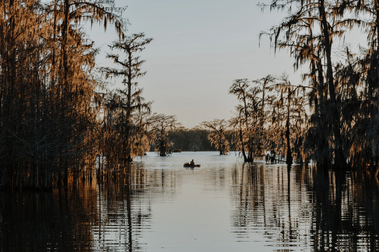 A view of Lafayette, LA