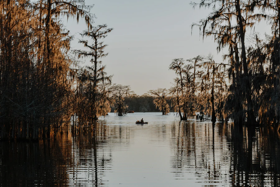 Still lake water surrounded by trees in daytime