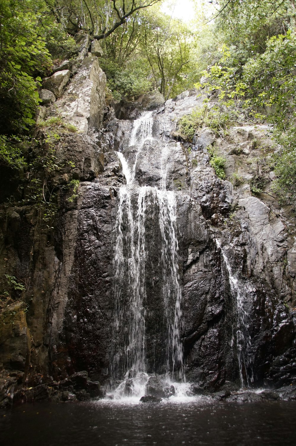 waterfalls in the middle of the forest