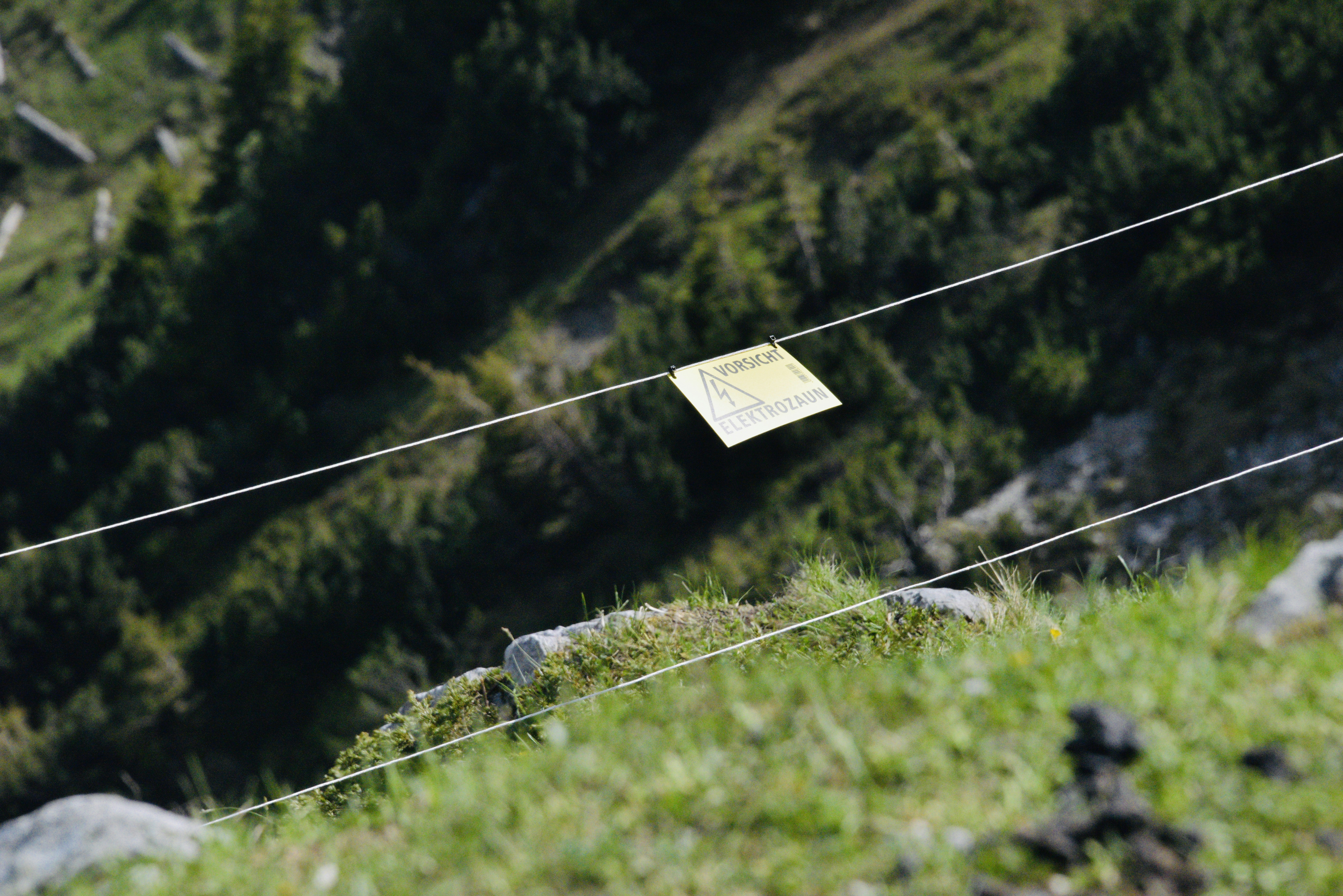white and black road sign