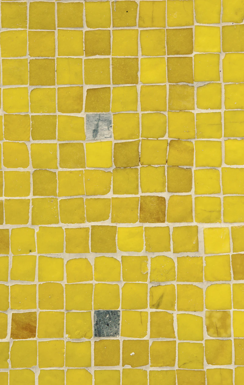 Mosaïque sur filet