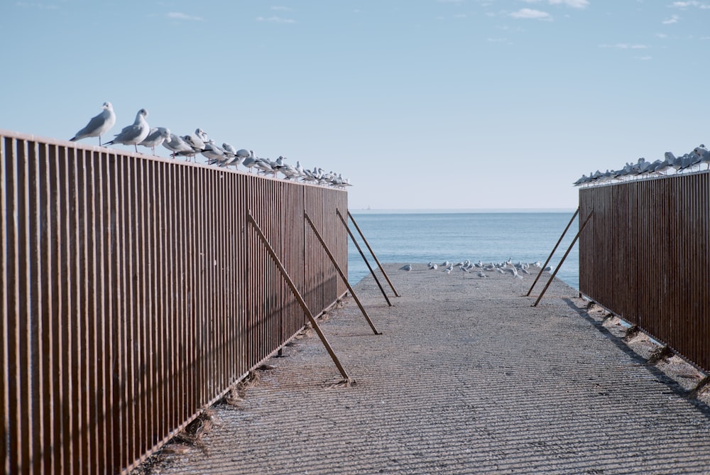 brown wooden fence on beach during daytime