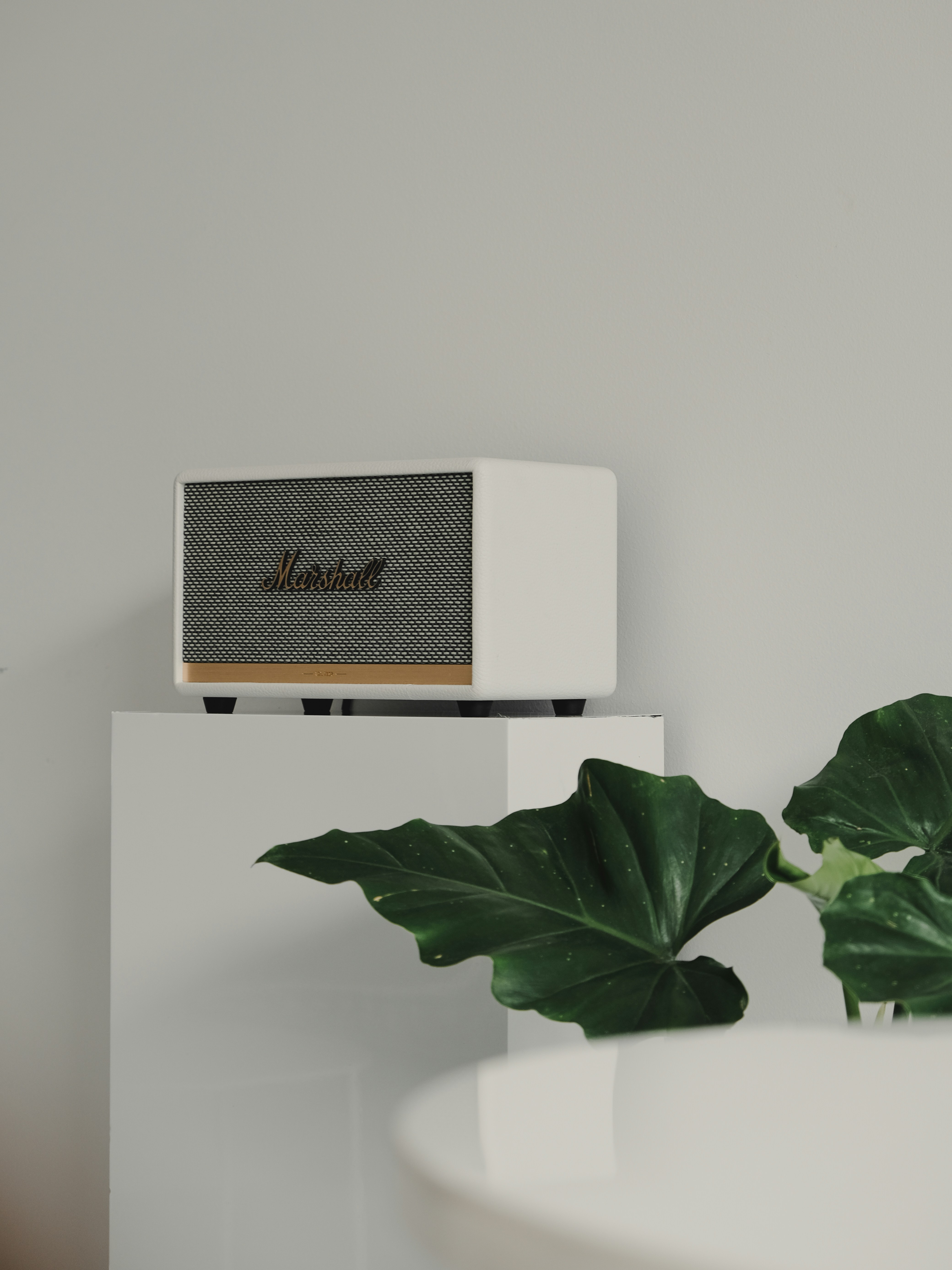 Checks and SaaS B2B Billing