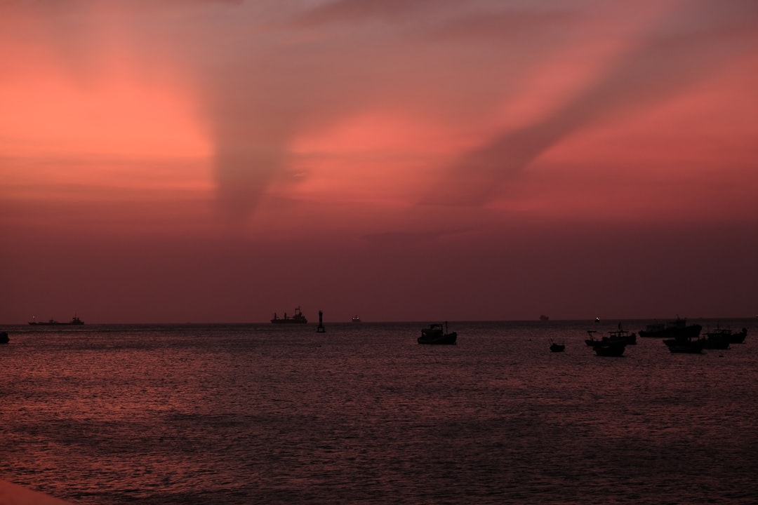 silhouette of people on beach during sunset