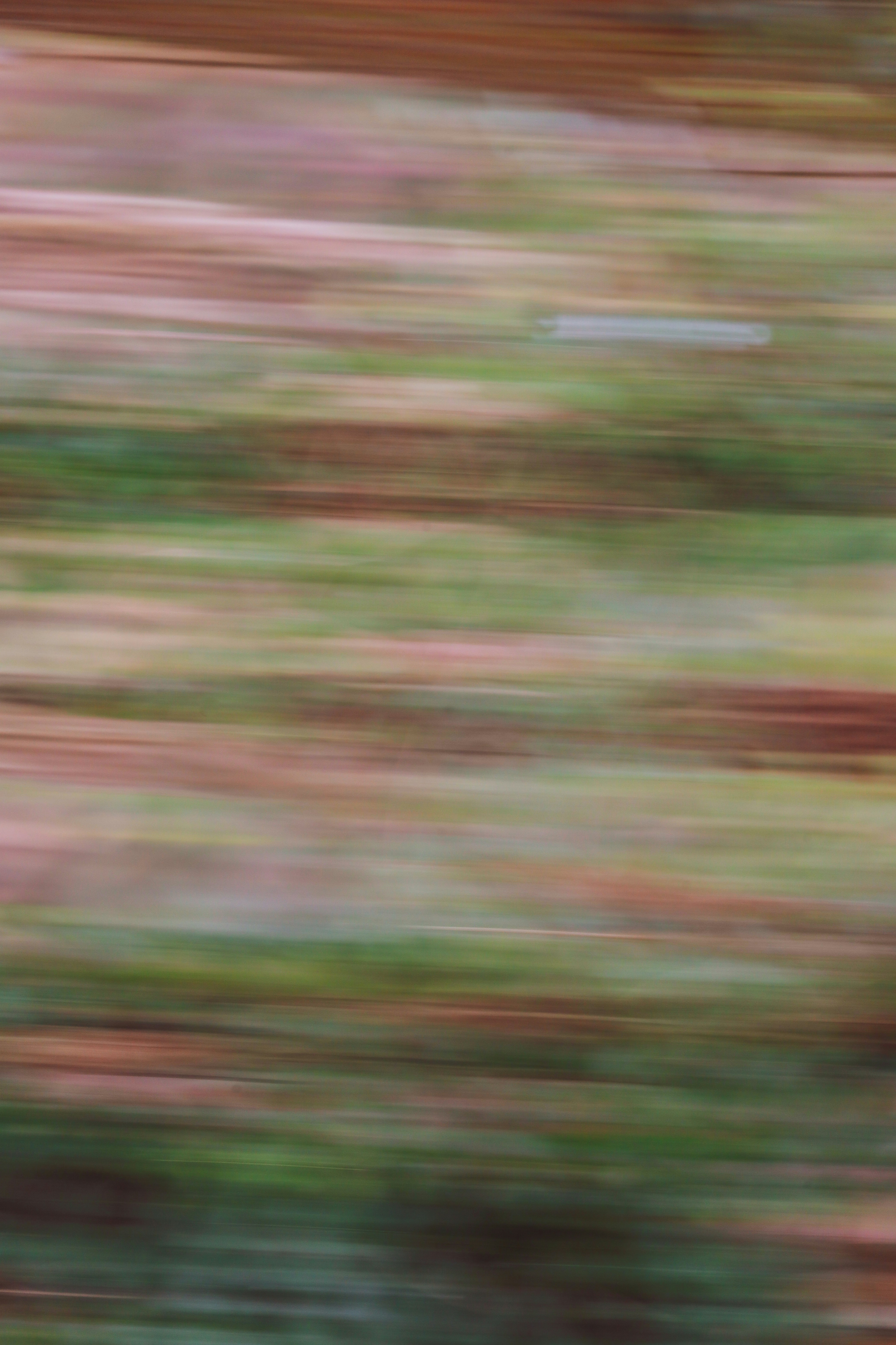 Photo by grievek1610begur