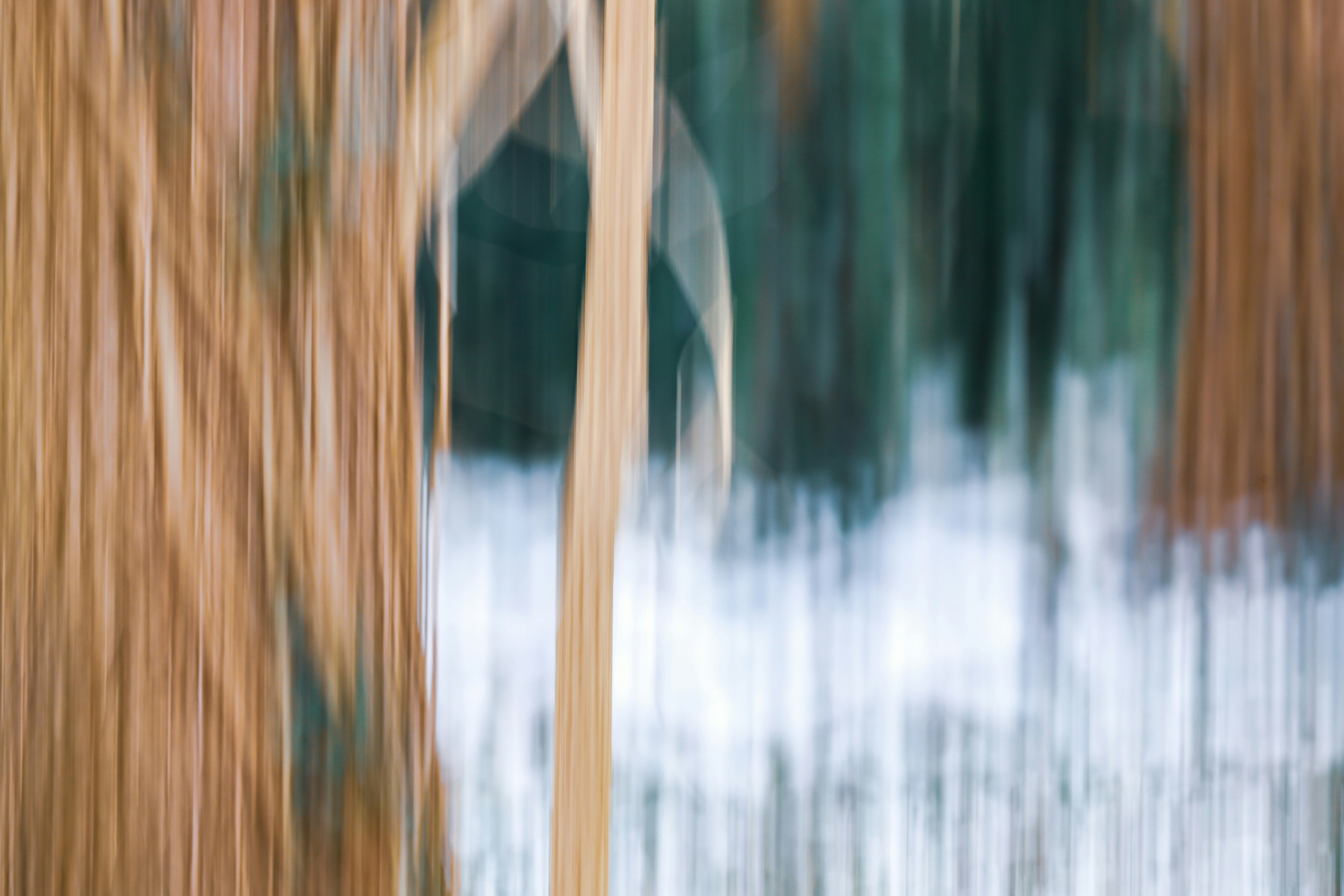 Photo by grievek1610begur