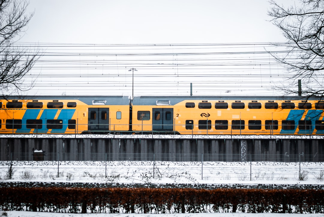 yellow and blue train on rail tracks during daytime