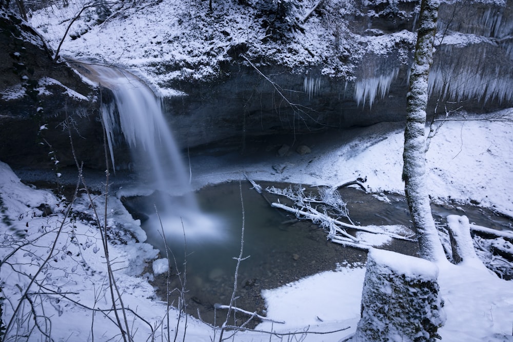 snow covered trees and river