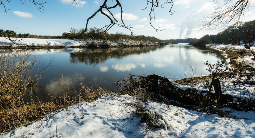 brown leafless tree on snow covered ground beside lake under blue and white cloudy sky during