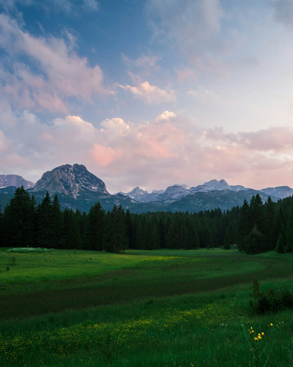 green trees and mountains under white clouds and blue sky during daytime