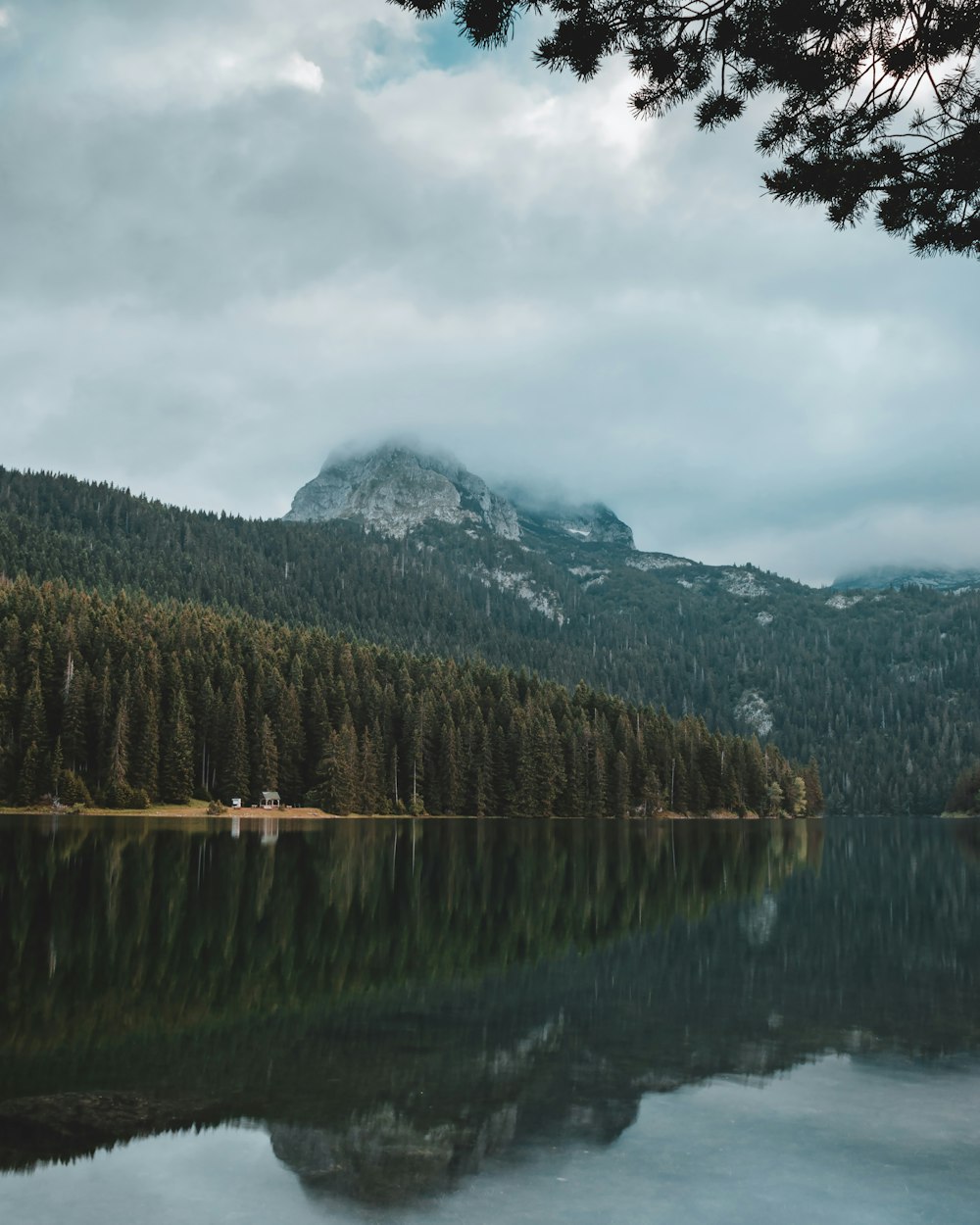 alberi verdi vicino al lago e alla montagna sotto nuvole bianche durante il giorno