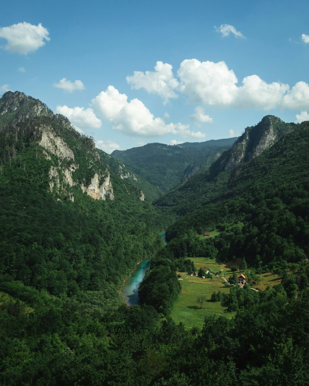 green trees on mountain under blue sky during daytime