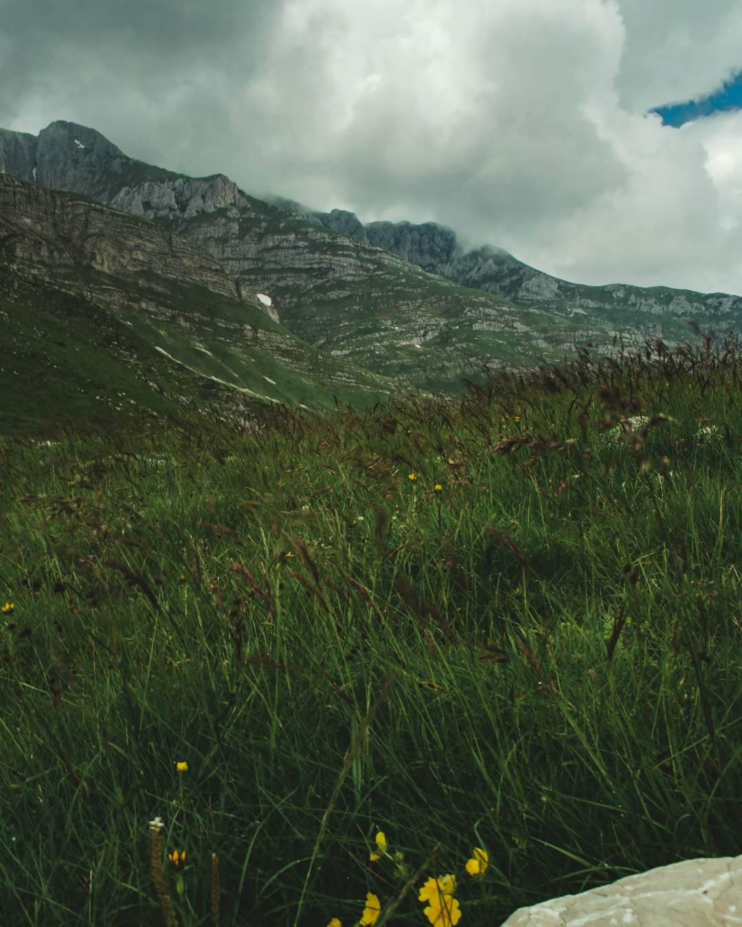 green grass field near mountain under blue sky during daytime