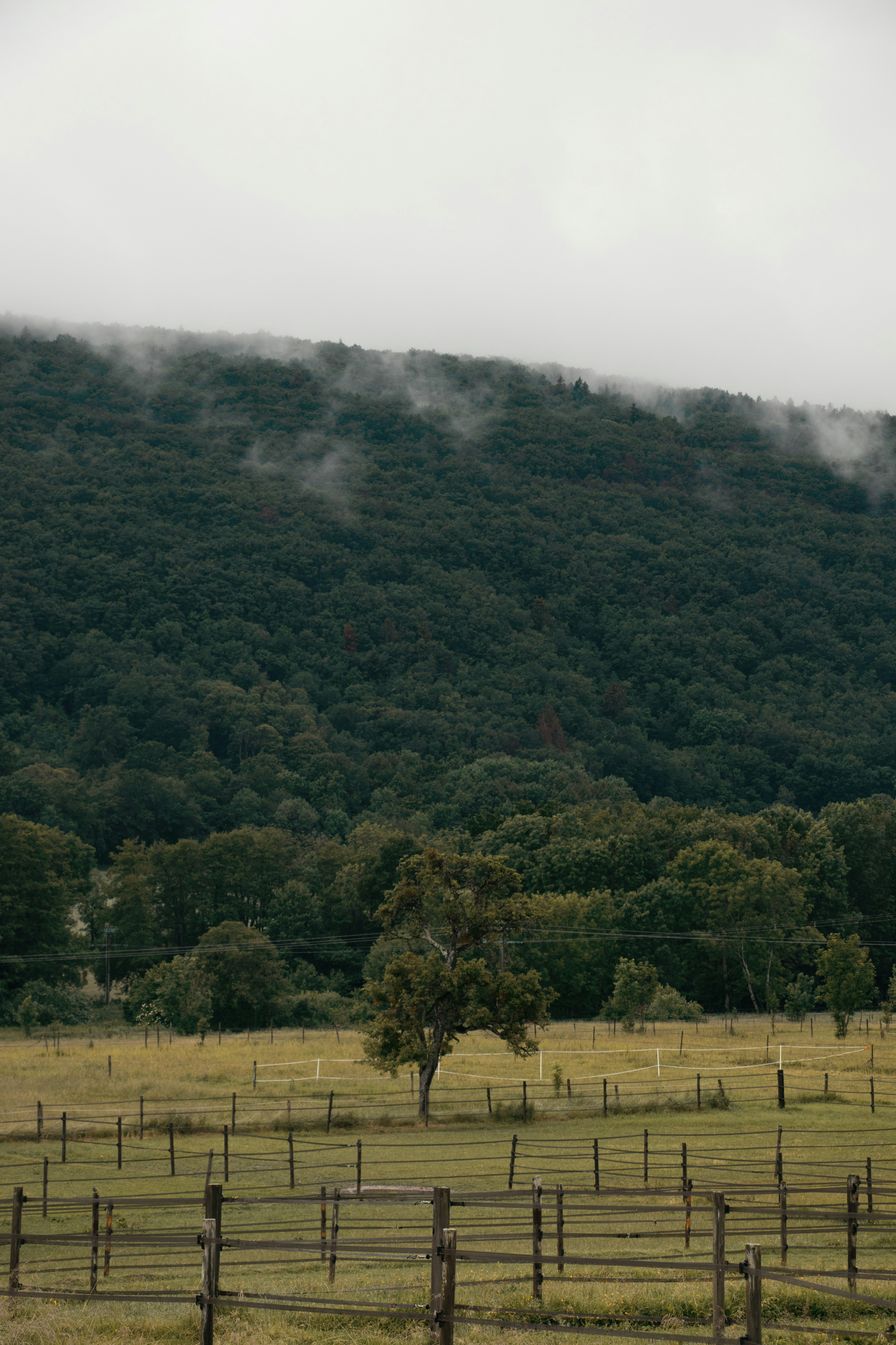 Photo by adrienbrunat_pro