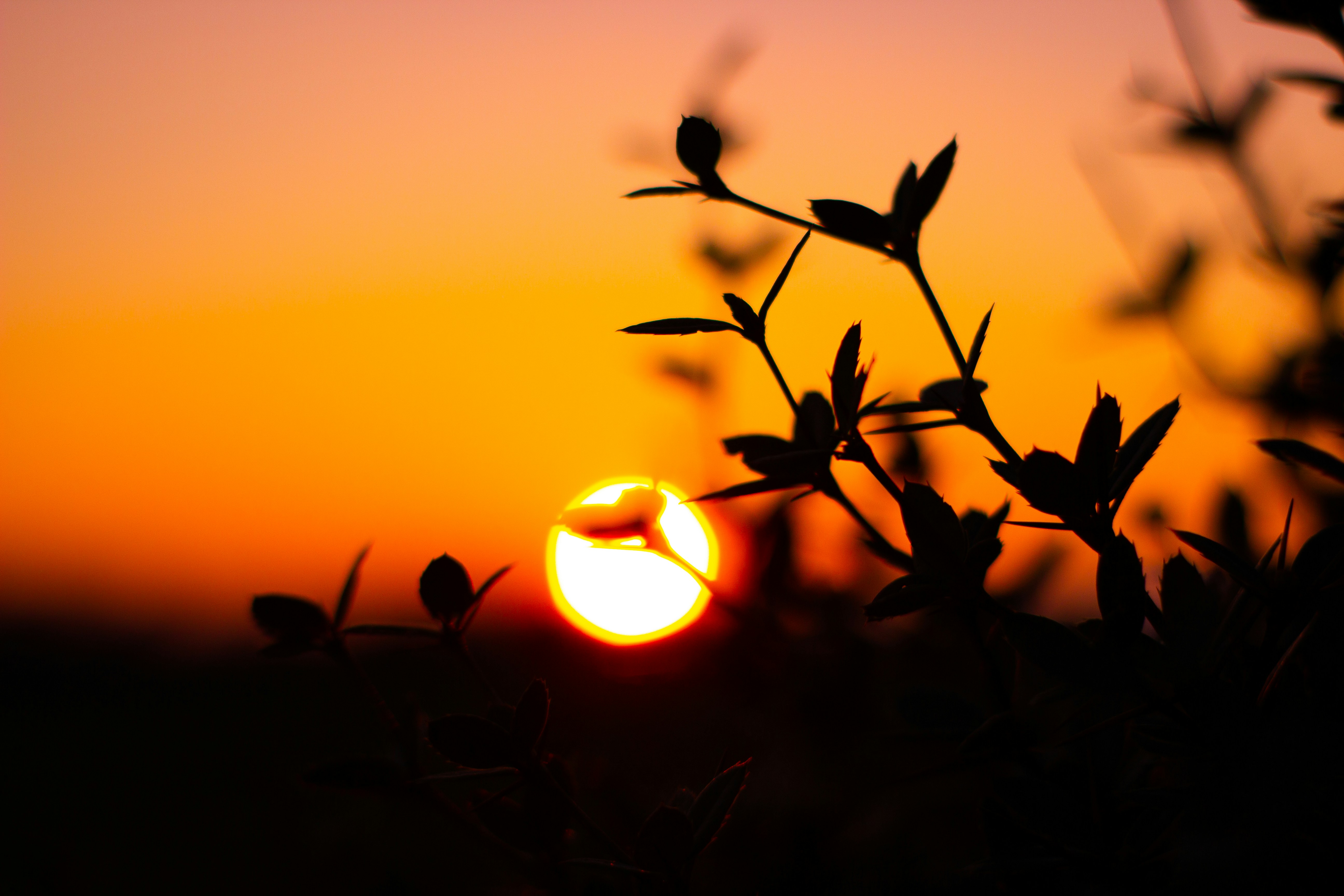 Photo by coc_photographer