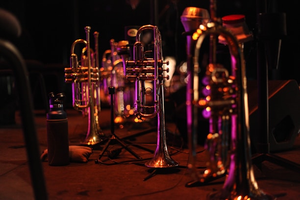 Portrait of Pedrinho Costa playing a brass instrument on stage with warm lighting.