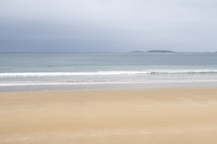 brown sand near body of water during daytime