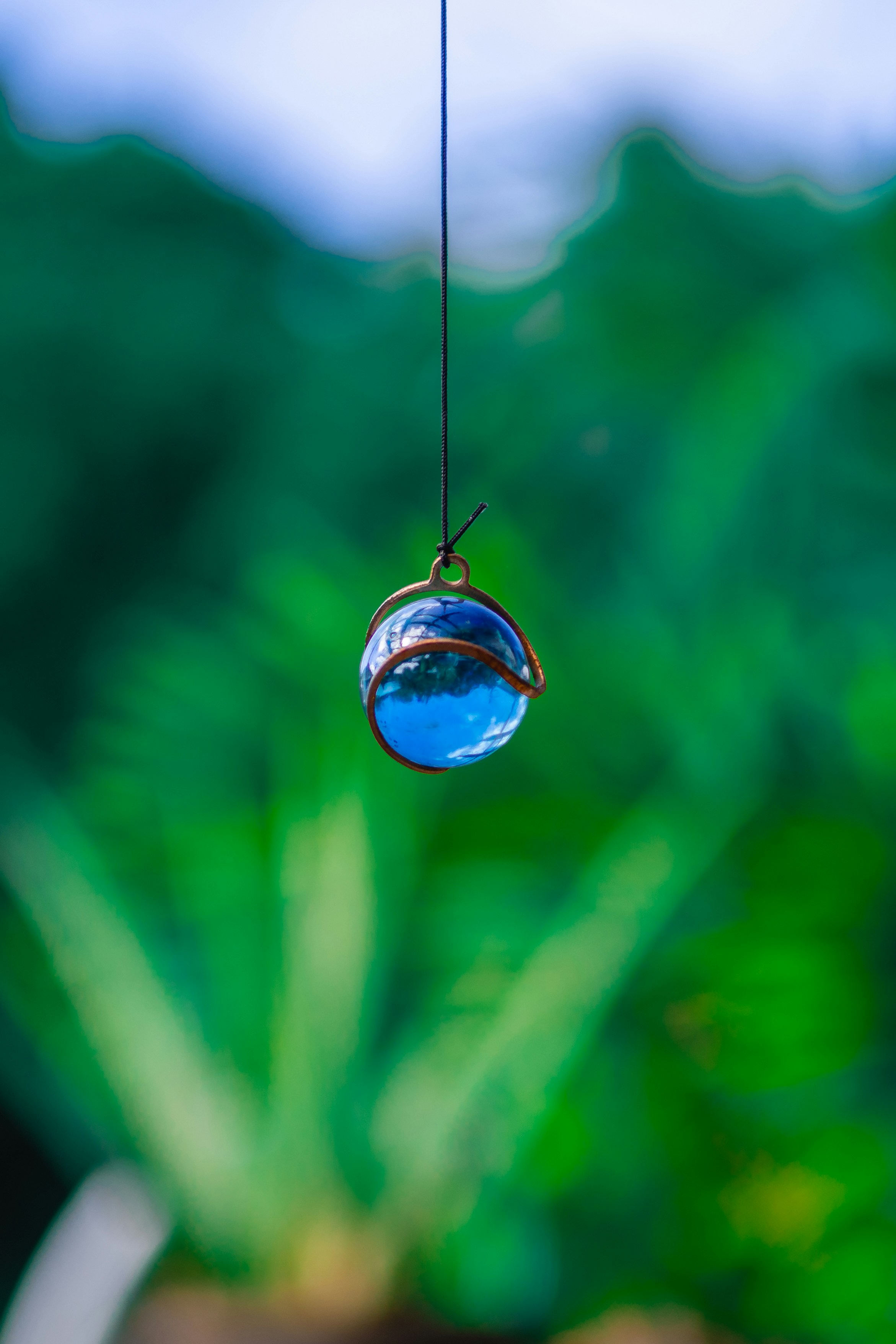 water drop on green plant