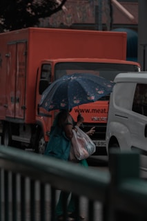 A person is walking in the rain, holding a dark blue umbrella with floral patterns. They are carrying plastic bags and wearing green clothing. A red delivery truck is parked on the street, partially covered by a white van. The atmosphere is dim and wet, suggesting a rainy day.