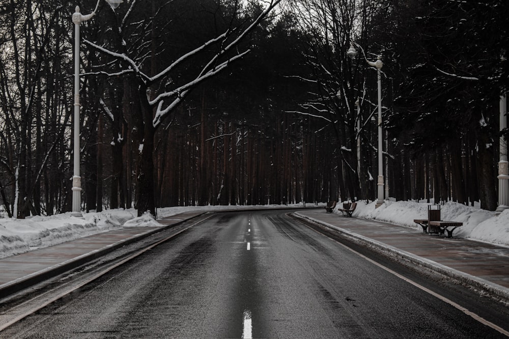black asphalt road between trees during daytime